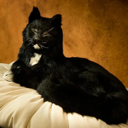 Ea Jeleni Dvur Castle 3* Prága